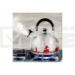 Чайник из нерж. стали MALLONY ГОРОДА РОССИИ со свистком 2,5 л, с рисунком, меняющим цвет, фото2