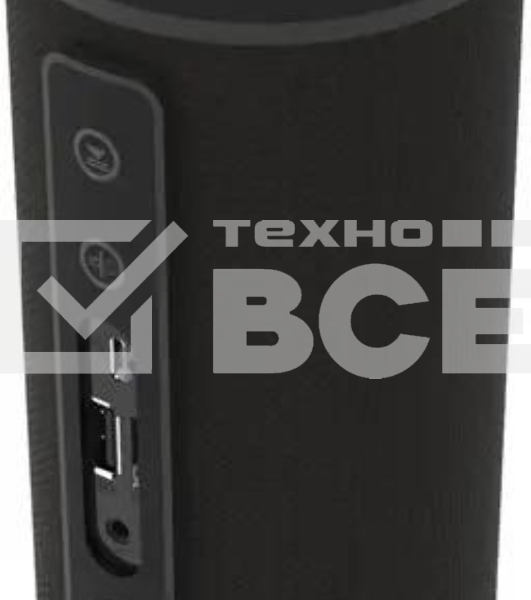 Портативная колонка Ritmix SP-320B черный