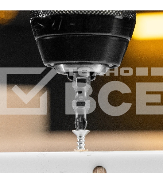 Набор бит Denzel двухстор., PH2-PZ2х45 мм, сталь S2, 10 шт.