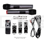 Акустическая система ELTRONIC (30-74) SKILLETS BOX 2500 - колонка 12