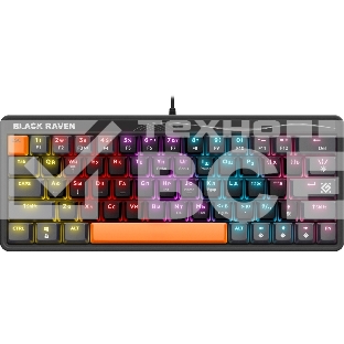 Клавиатура Defender Black Raven GK-417  проводная, USB, черный