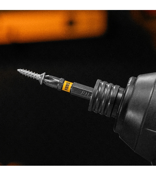 Набор бит Denzel PH2х50, сталь S2, 10 шт., шестигранный профиль, отрывная упаковка