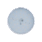 Лампа светодиодная JazzWay PLED-GX70 11Вт таблетка 5000К холодный белый GX70 950 лм 230В, фото5