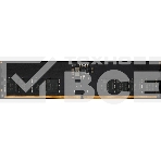 Оперативная память Patriot Signature Premium, DDR5, 16GB (1x16 GB), 6400 MHz, CL52, радиатор, чёрный, фото2