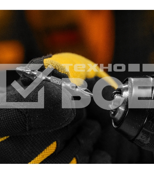 Набор бит Denzel двухстор., PH2-PH2х45 мм, сталь S2, 10 шт.