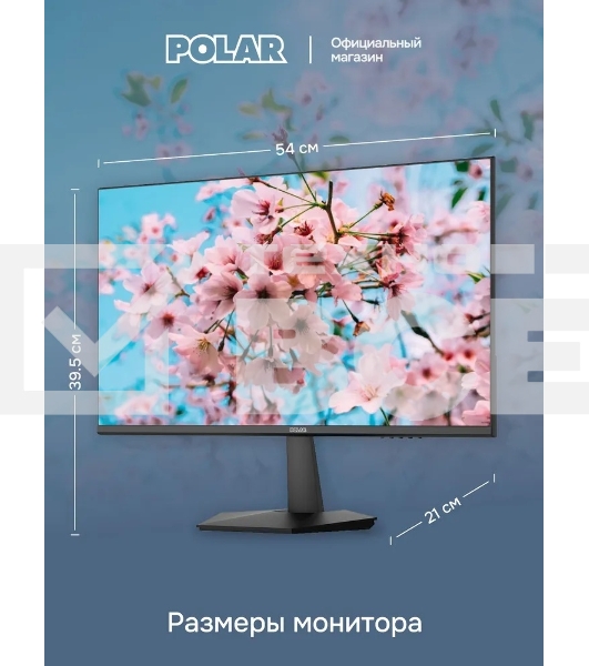 Монитор POLAR P24F12M