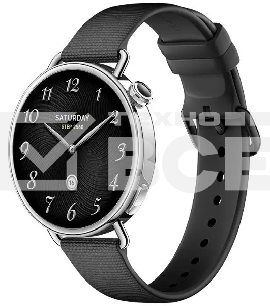 Смарт-часы Xiaomi Watch S4 41мм 1.32' AMOLED корп. серебристый рем.черный (BHR07VRGL)