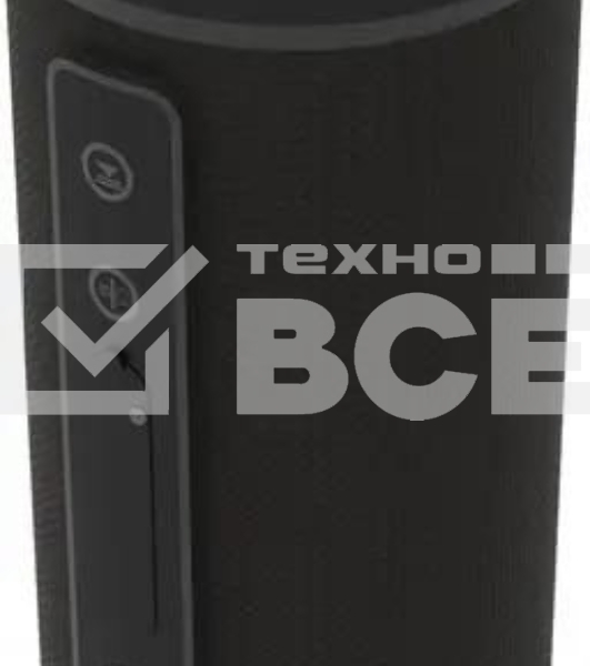 Портативная колонка Ritmix SP-320B черный