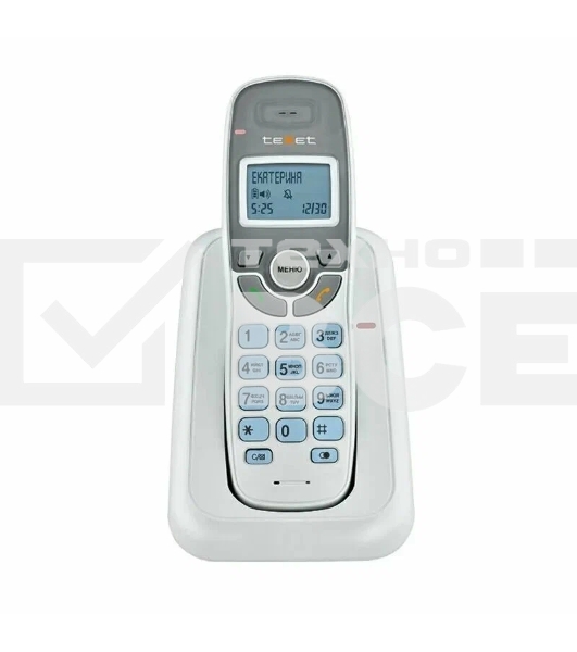 Радиотелефон teXet TX-D6905A белый