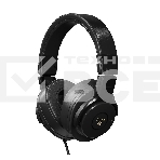 Наушники динамические 110501A2007 Icon HP-310, фото 1