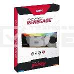 Оперативная память Kingston Fury Renegade, DDR4, 16GB (1x16GB), 3200MHz, CL16, с радиатором, RGB, серебристый/черный, фото2