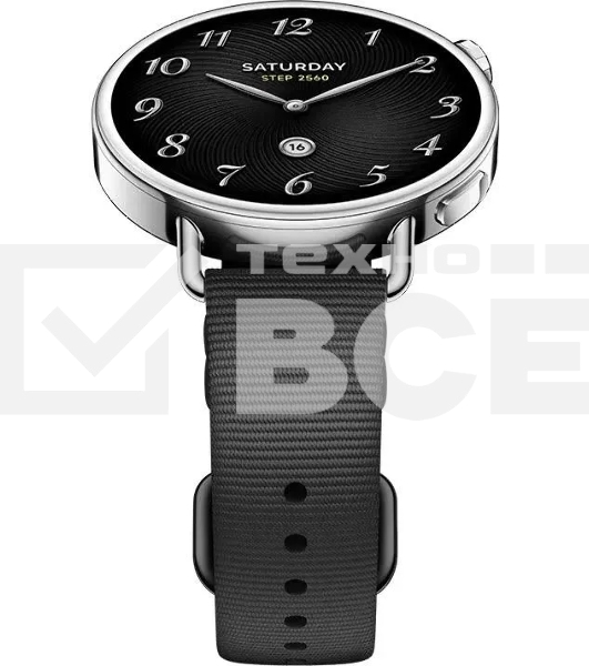 Смарт-часы Xiaomi Watch S4 41мм 1.32' AMOLED корп. серебристый рем.черный (BHR07VRGL)
