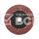 Круг лепестковый торцевой Edge by Patriot 180мм*22,23мм*P80, фото2