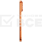Смартфон Apple iPhone 17 Pro Max A3526 256Gb оранжевый, фото2