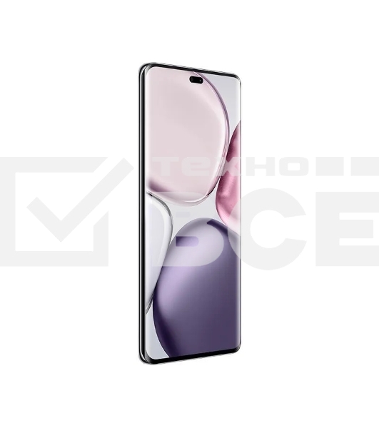 Смартфон Honor X9c, 8/256Gb, черный