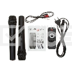 Колонка Eltronic 10