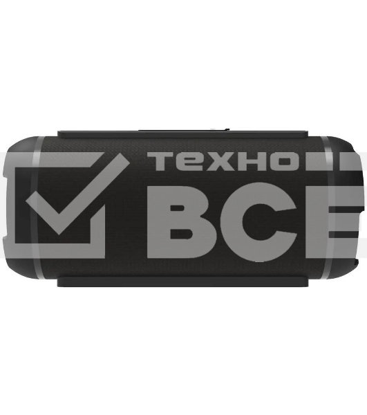 Портативная колонка Ritmix SP-320B черный