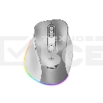 Мышь беспроводная Genius Ergo 9000S Pro серебристый, 2400 dpi, радиоканал, Bluetooth, USB, кнопки - 6, фото 1