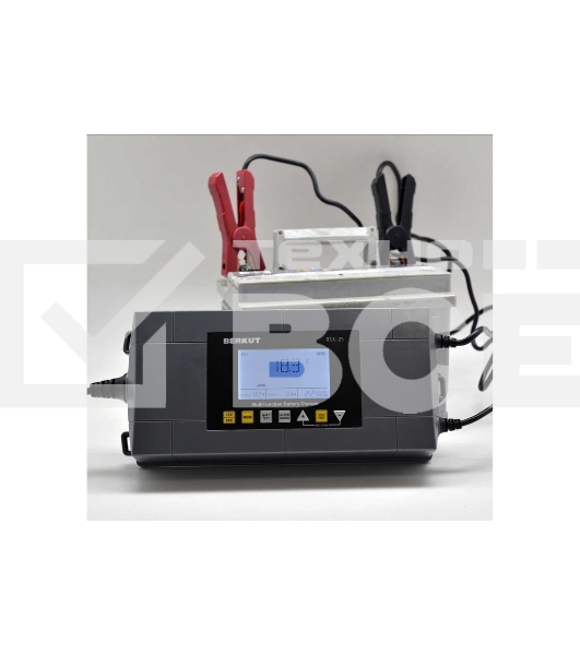 Зарядное устройство Berkut BCA-25