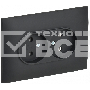 Розетка 2-местная IEK SKANDY SK-R10G 10А (SK-R20-10-K53-F) без заземления, без защитных шторок, 10А в сборе, графит