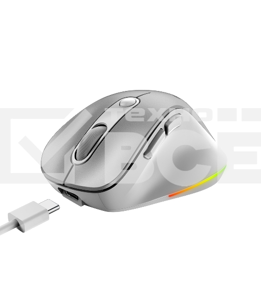 Мышь беспроводная Genius Ergo 9000S Pro серебристый, 2400 dpi, радиоканал, Bluetooth, USB, кнопки - 6