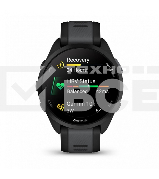 Смарт-часы Garmin Forerunner 165 черный, серый ремешок 43мм