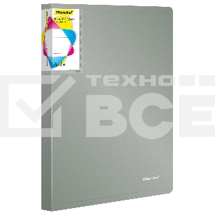 Папка на 2-х кольцах Silwerhof Perlen 271957-77 A4 1мм кор.38мм внутр. с вставкой серебристый металлик