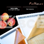 Поддон для пастилы Pullman PL-30203-3 белый 3шт универсальный квадратный р-р 290х290х5,4мм, фото5