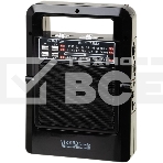 Радиоприемник портативный Сигнал Vikend Traveler черный USB SD/MMC, фото 1