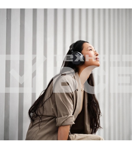 Наушники мониторные Sennheiser Momentum Wireless 4 2м черный беспроводные Bluetooth оголовье