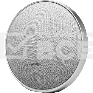Портативная акустика Harman Kardon HKOS9GRYUK серый