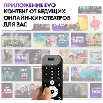 Телевизор Haier 65 Smart TV AX Pro QLED 4K Ultra HD черный, фото12