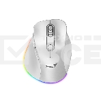 Мышь беспроводная Genius Ergo 9000S Pro перламутрово-белый, 2400 dpi, радиоканал, Bluetooth, USB, кнопки - 6, фото 1