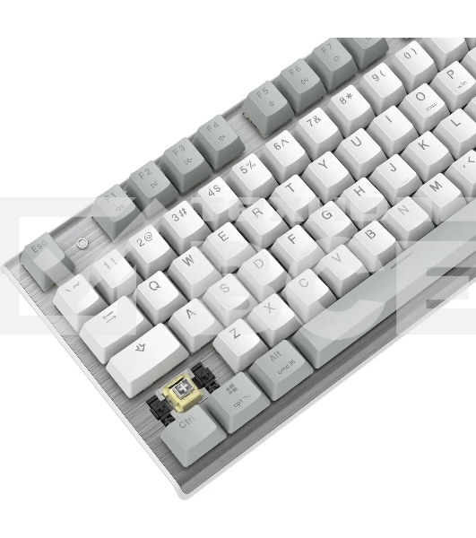 Клавиатура A4Tech Fstyler FS100 Neon проводная, USB, серый/белый