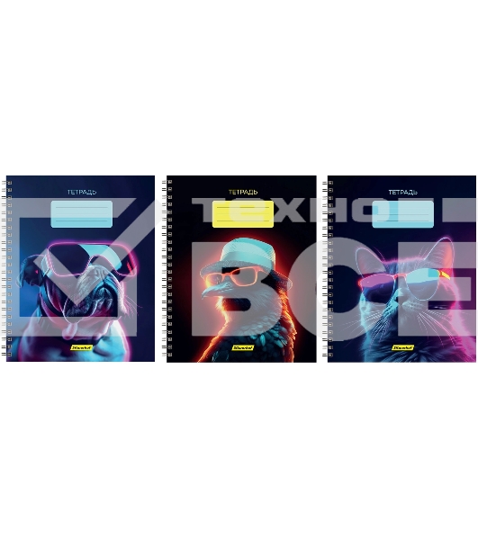 Набор тетрадей Silwerhof 2001674 48 листов, клетка, A5, Неоновые животные в очках 3 дизайна, мелованный картон, гребень (упаковка: 3шт)
