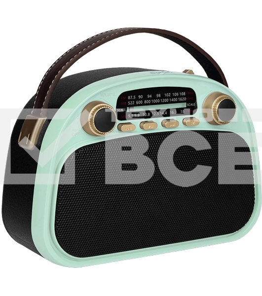 Радиоприемник Ritmix RPR-040 MINT