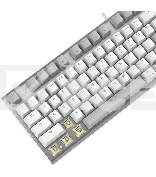Клавиатура A4Tech Fstyler FS100 Neon проводная, USB, серый/белый