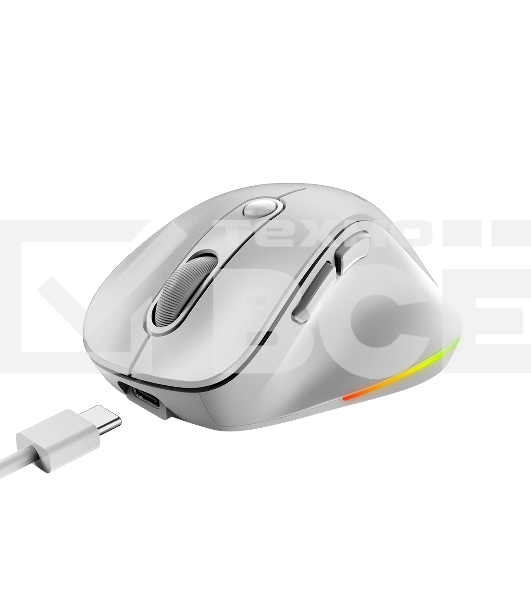 Мышь беспроводная Genius Ergo 9000S Pro перламутрово-белый, 2400 dpi, радиоканал, Bluetooth, USB, кнопки - 6