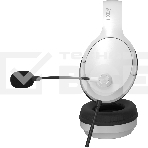 Наушники с микрофоном A4Tech Fstyler FH280U белый  2м мониторные USB оголовье, фото6