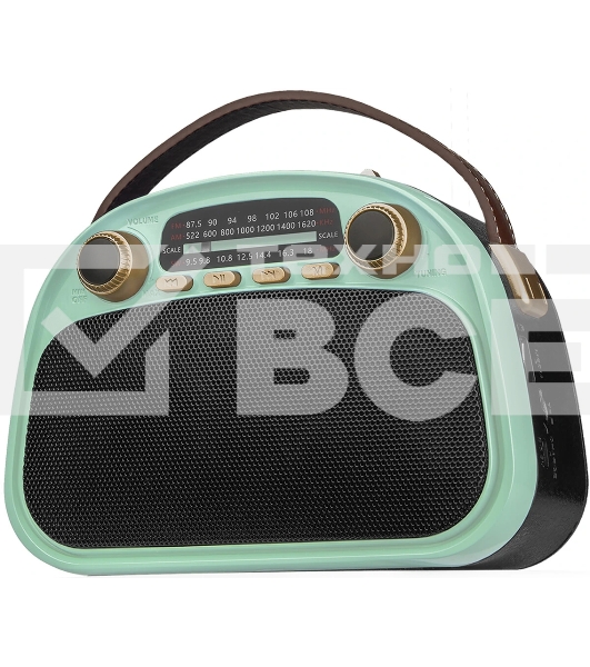 Радиоприемник Ritmix RPR-040 MINT