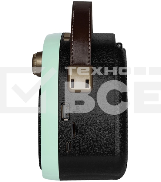 Радиоприемник Ritmix RPR-040 MINT