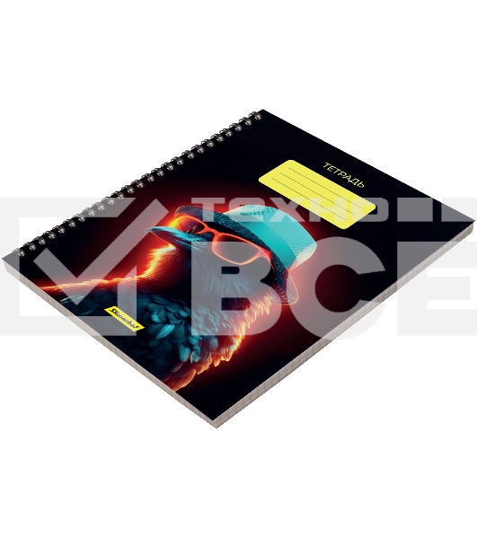 Набор тетрадей Silwerhof 2001674 48 листов, клетка, A5, Неоновые животные в очках 3 дизайна, мелованный картон, гребень (упаковка: 3шт)