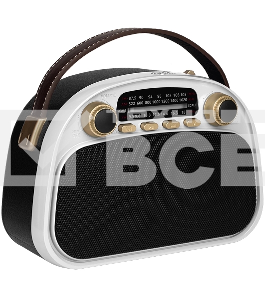 Радиоприемник Ritmix RPR-040 белый