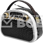 Радиоприемник Ritmix RPR-040 белый, фото 1