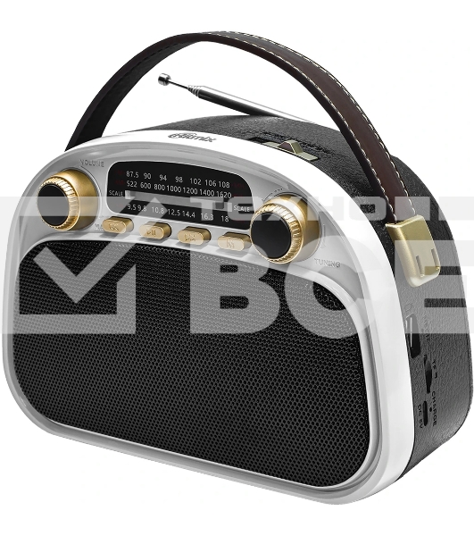 Радиоприемник Ritmix RPR-040 белый