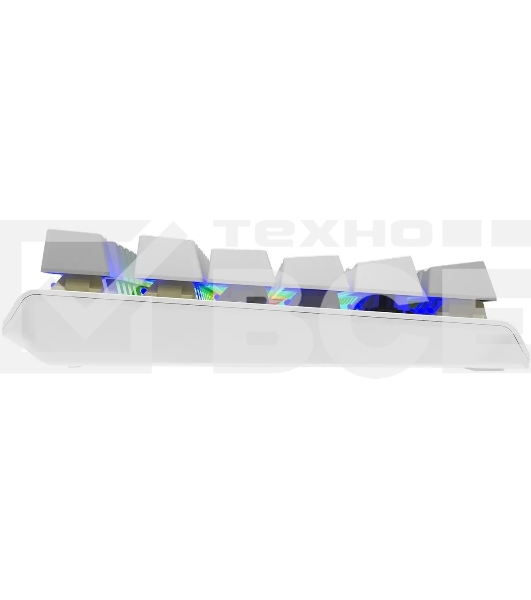 Клавиатура A4Tech Fstyler FS100 Neon проводная, USB, серый/белый