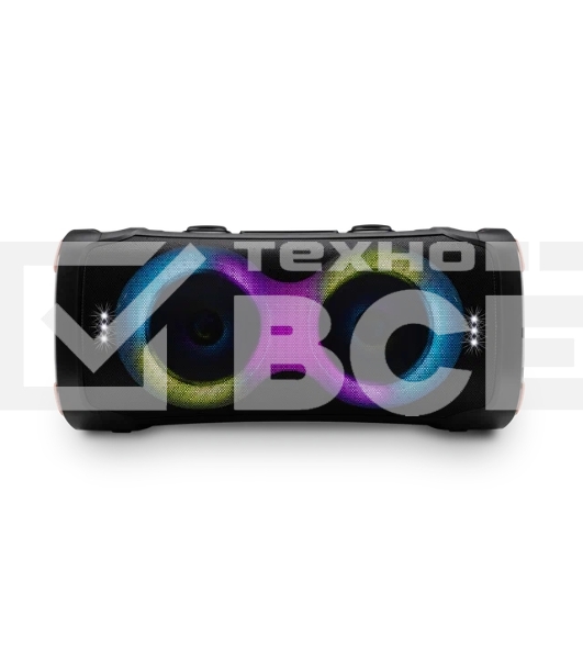 Акустическая колонка ELTRONIC (30-85) DANCE BOX 900 - колонка 06