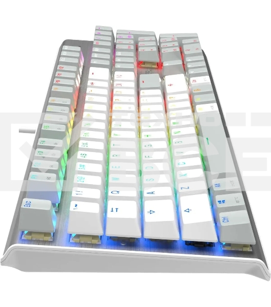 Клавиатура A4Tech Fstyler FS100 Neon проводная, USB, серый/белый