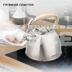 Чайник для плиты Starwind Chef Daily 2.8л, серый, металлический (SW-CH1308), фото2
