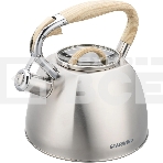 Чайник для плиты Starwind Chef Daily 2.8л, серый, металлический (SW-CH1308), фото 1